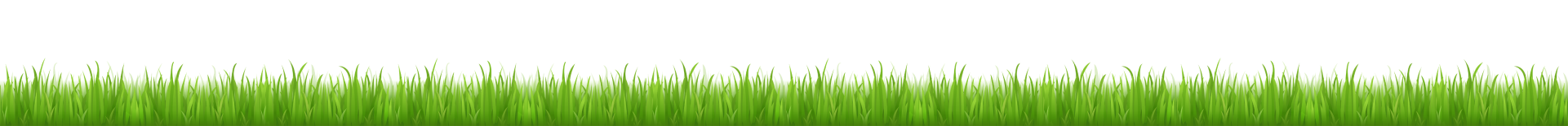 grass